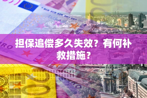 武汉担保追偿多久失效？有何补救措施？