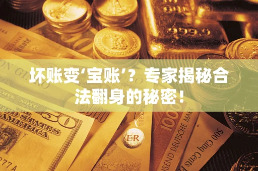 武汉坏账变‘宝账’？专家揭秘合法翻身的秘密！